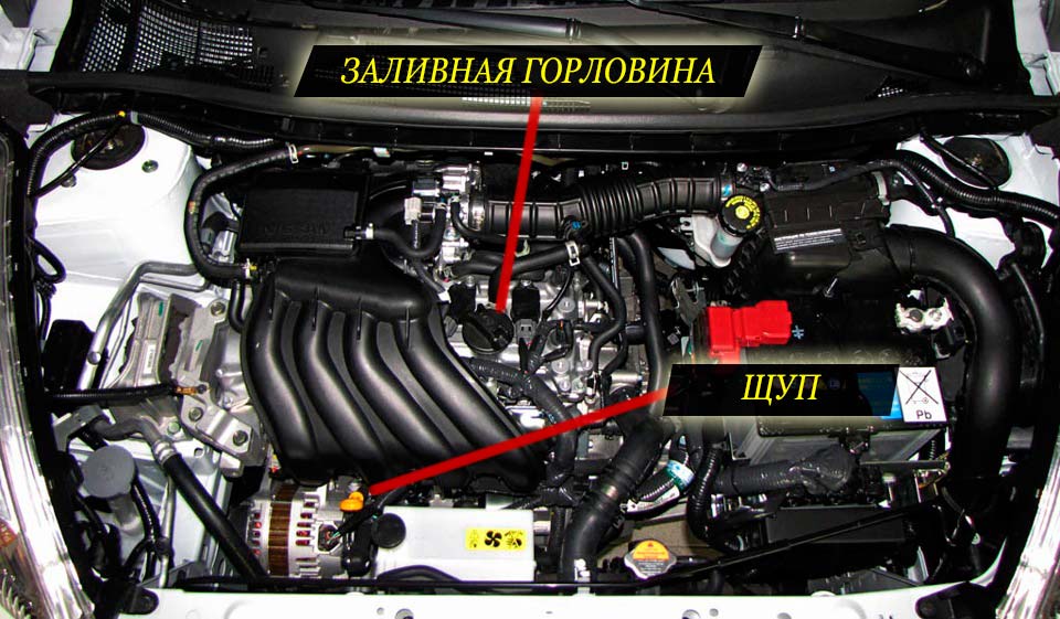 Расположение заливной горловины и масляного щупа на двигателе ниссан жук
